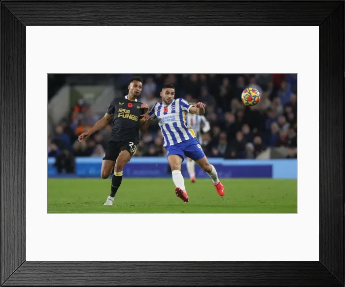 Framed Print : Premier League Showdown: Brighton & Hove Albion vs. Newcastle United (November 6, 2021)