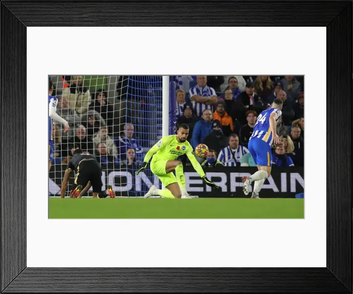 Framed Print : Brighton and Hove Albion vs. Newcastle United: Premier League Clash at American Express Community Stadium (Nov. 6, 2021)