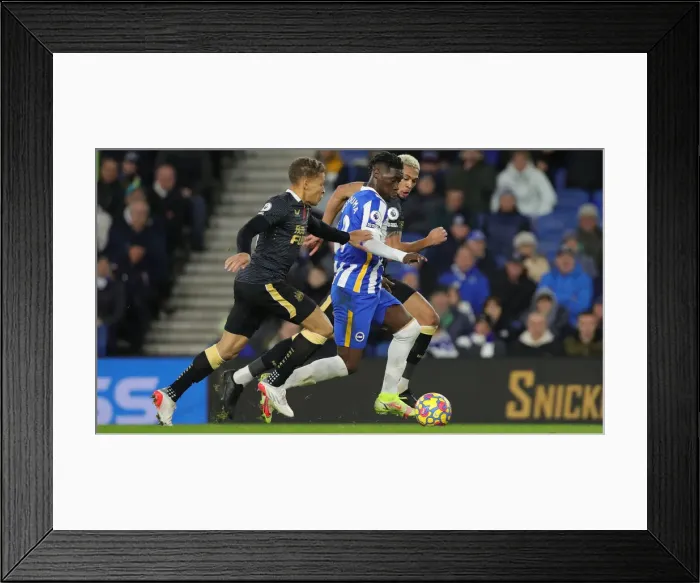 Framed Print : Intense Premier League Clash: Brighton & Hove Albion vs. Newcastle United (6th November 2021) Framed Print : Intense Premier League Clash: Brighton & Hove Albion vs. Newcastle United (6th November 2021)