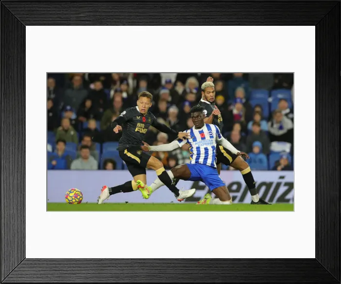 Framed Print : Brighton & Hove Albion vs Newcastle United: Premier League Clash at American Express Community Stadium (Nov 6, 2021) Framed Print : Brighton & Hove Albion vs Newcastle United: Premier League Clash at American Express Community Stadium (Nov 6, 2021)
