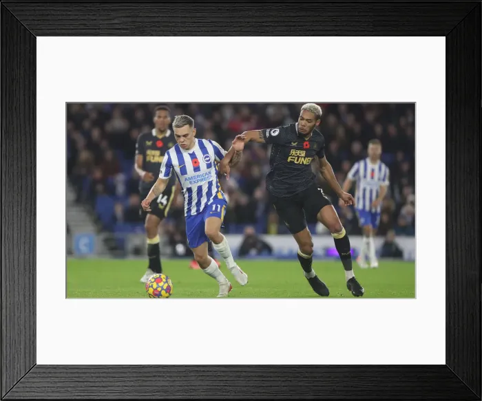 Framed Print : Premier League Showdown: Brighton & Hove Albion vs. Newcastle United (Nov. 6, 2021) Framed Print : Premier League Showdown: Brighton & Hove Albion vs. Newcastle United (Nov. 6, 2021)