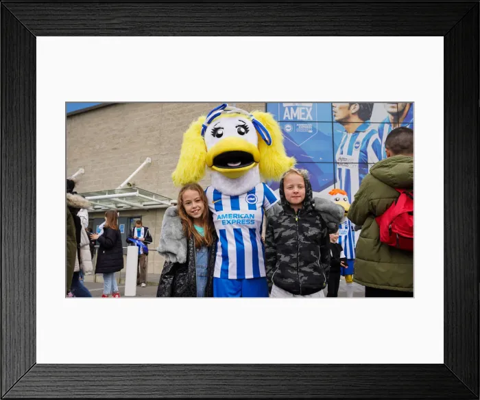 Framed Print : Brighton & Hove Albion Women vs. Leicester City Women: WSL Showdown at American Express Community Stadium (14NOV21)