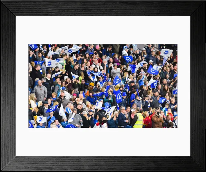 Framed Print : Brighton and Hove Albion Women vs. Leicester City Women: WSL Clash at American Express Community Stadium (14NOV21) Framed Print : Brighton and Hove Albion Women vs. Leicester City Women: WSL Clash at American Express Community Stadium (14NOV21)