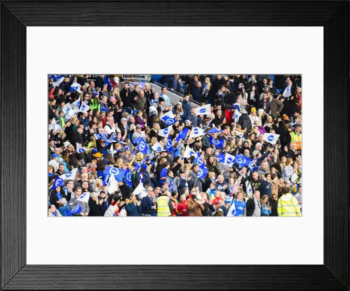 Framed Print : Premier League Women: Brighton & Hove Albion vs. Leicester City - Showdown at American Express Community Stadium (14th November 2021) Framed Print : Premier League Women: Brighton & Hove Albion vs. Leicester City - Showdown at American Express Community Stadium (14th November 2021)