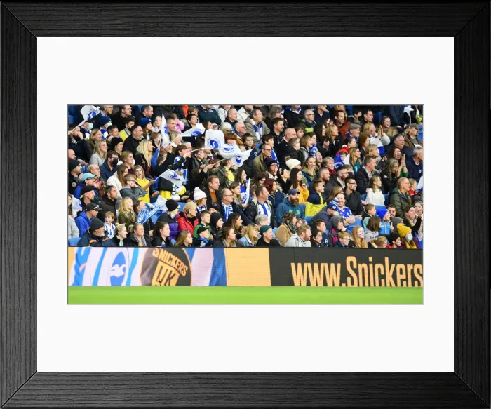 Framed Print : Brighton & Hove Albion Women vs. Leicester City Women: WSL Clash at American Express Community Stadium (14NOV21) Framed Print : Brighton & Hove Albion Women vs. Leicester City Women: WSL Clash at American Express Community Stadium (14NOV21)