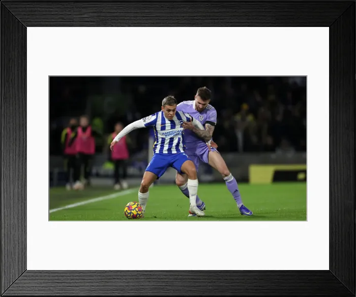 Framed Print : Brighton vs Leeds United: Premier League Clash at American Express Community Stadium (November 2021) Framed Print : Brighton vs Leeds United: Premier League Clash at American Express Community Stadium (November 2021)