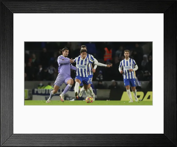 Framed Print : Premier League Showdown: Brighton vs Leeds United (Nov 27, 2021) - American Express Community Stadium Framed Print : Premier League Showdown: Brighton vs Leeds United (Nov 27, 2021) - American Express Community Stadium