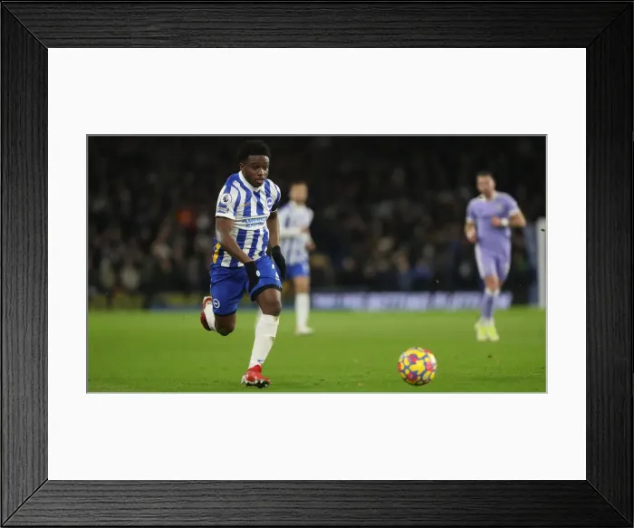 Framed Print : Premier League Clash: Brighton & Hove Albion vs Leeds United (November 2021) Framed Print : Premier League Clash: Brighton & Hove Albion vs Leeds United (November 2021)