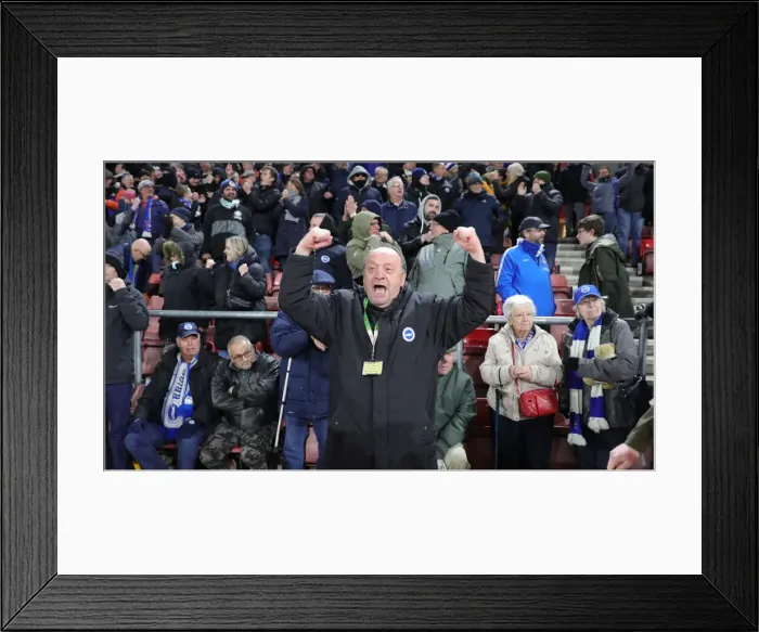 Framed Print : Decisive Moments: Southampton vs. Brighton & Hove Albion at St Mary's, 4th December 2021