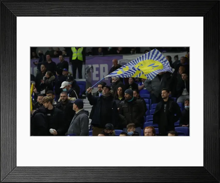 Framed Print : Brighton vs. Wolverhampton Wanderers: A Premier League Battle at American Express Community Stadium (15DEC21) Framed Print : Brighton vs. Wolverhampton Wanderers: A Premier League Battle at American Express Community Stadium (15DEC21)