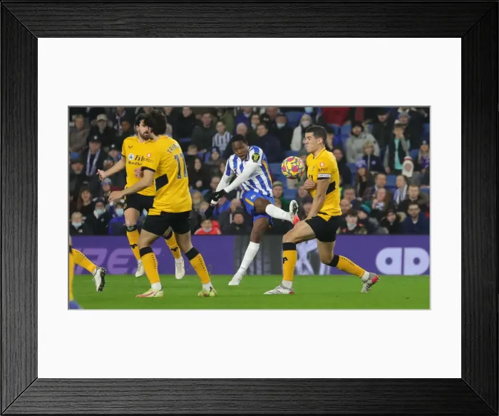 Framed Print : Premier League Showdown: Brighton & Hove Albion vs. Wolverhampton Wanderers (15DEC21) Framed Print : Premier League Showdown: Brighton & Hove Albion vs. Wolverhampton Wanderers (15DEC21)