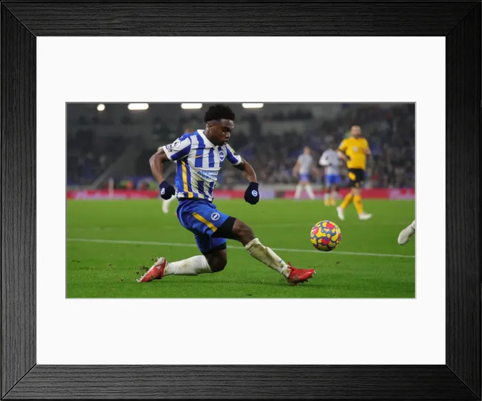 Framed Print : Premier League Showdown: Brighton vs. Wolverhampton Wanderers (15DEC21) - Battle at American Express Community Stadium Framed Print : Premier League Showdown: Brighton vs. Wolverhampton Wanderers (15DEC21) - Battle at American Express Community Stadium