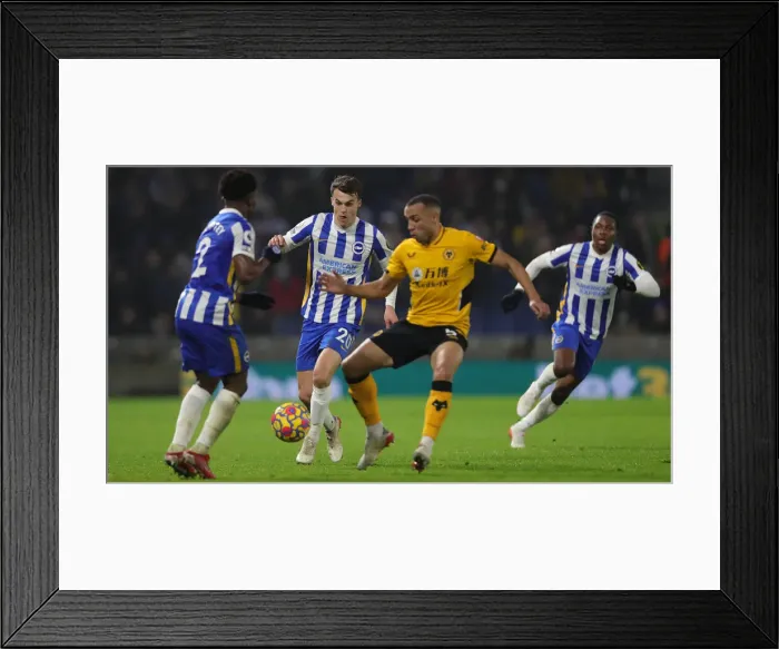 Framed Print : Brighton vs. Wolverhampton Wanderers: A Premier League Battle at American Express Community Stadium (15DEC21) Framed Print : Brighton vs. Wolverhampton Wanderers: A Premier League Battle at American Express Community Stadium (15DEC21)