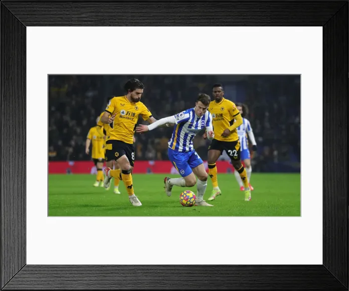 Framed Print : Premier League Clash: Brighton & Hove Albion vs. Wolverhampton Wanderers (15DEC21) - American Express Community Stadium Framed Print : Premier League Clash: Brighton & Hove Albion vs. Wolverhampton Wanderers (15DEC21) - American Express Community Stadium