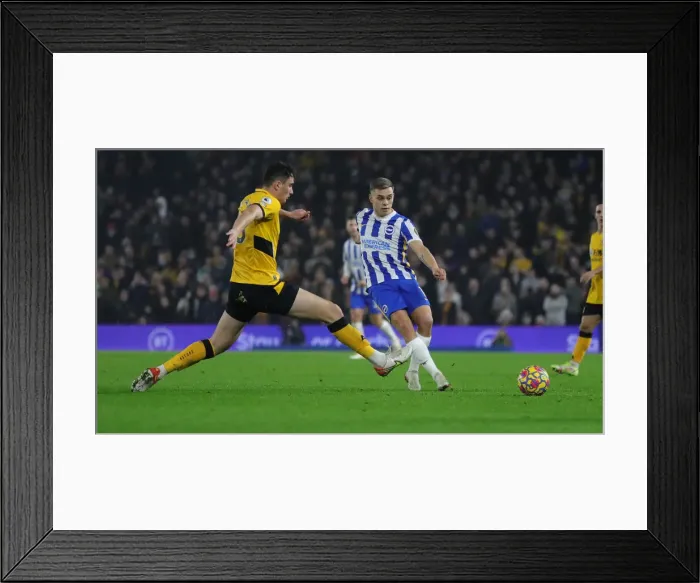 Framed Print : Premier League Showdown: Brighton vs. Wolverhampton Wanderers (15DEC21) - Battle at American Express Community Stadium Framed Print : Premier League Showdown: Brighton vs. Wolverhampton Wanderers (15DEC21) - Battle at American Express Community Stadium