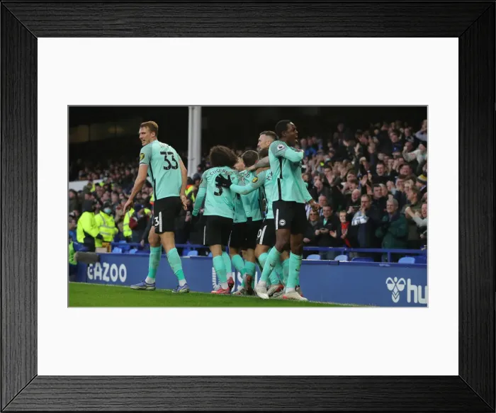 Framed Print : 0-0 Stalemate: Everton vs. Brighton & Hove Albion - Premier League Rivalry (January 2, 2022) Framed Print : 0-0 Stalemate: Everton vs. Brighton & Hove Albion - Premier League Rivalry (January 2, 2022)