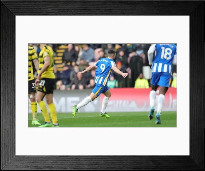 Framed Print : Intense Rivalry: Watford vs. Brighton and Hove Albion, Premier League Clash (12FEB22) Framed Print : Intense Rivalry: Watford vs. Brighton and Hove Albion, Premier League Clash (12FEB22)