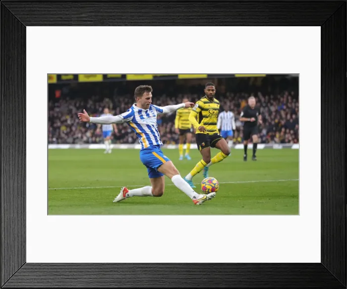 Framed Print : Brighton and Hove Albion defender Joel Veltman (34) Framed Print : Brighton and Hove Albion defender Joel Veltman (34)