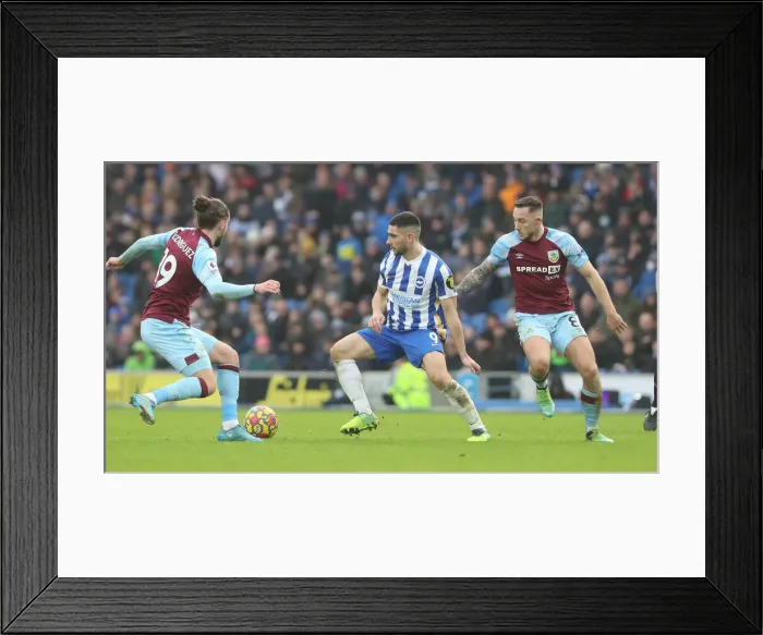 Framed Print : Intense Clash: Brighton vs. Burnley, Premier League Rivalry at American Express Community Stadium (19th February 2022) Framed Print : Intense Clash: Brighton vs. Burnley, Premier League Rivalry at American Express Community Stadium (19th February 2022)