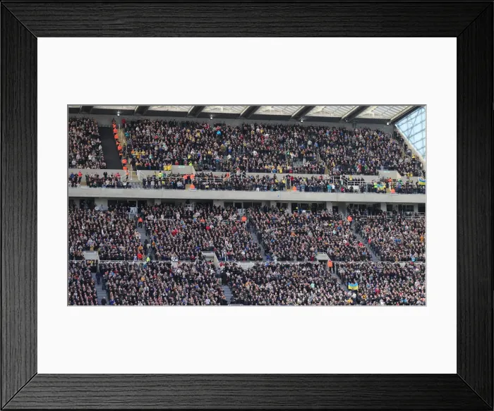 Framed Print : Brighton and Hove Albion vs. Newcastle United: A Premier League Clash (05MAR22) Framed Print : Brighton and Hove Albion vs. Newcastle United: A Premier League Clash (05MAR22)