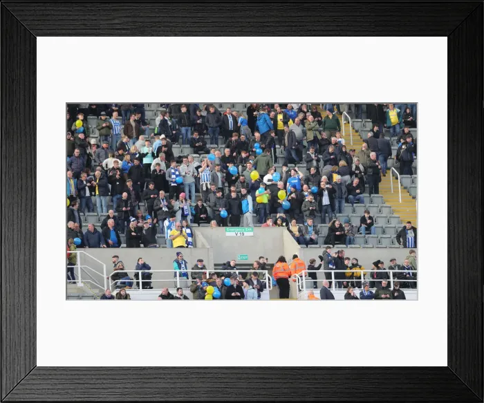 Framed Print : Premier League Showdown: Brighton and Hove Albion vs. Newcastle United at St. James Park (05MAR22) Framed Print : Premier League Showdown: Brighton and Hove Albion vs. Newcastle United at St. James Park (05MAR22)