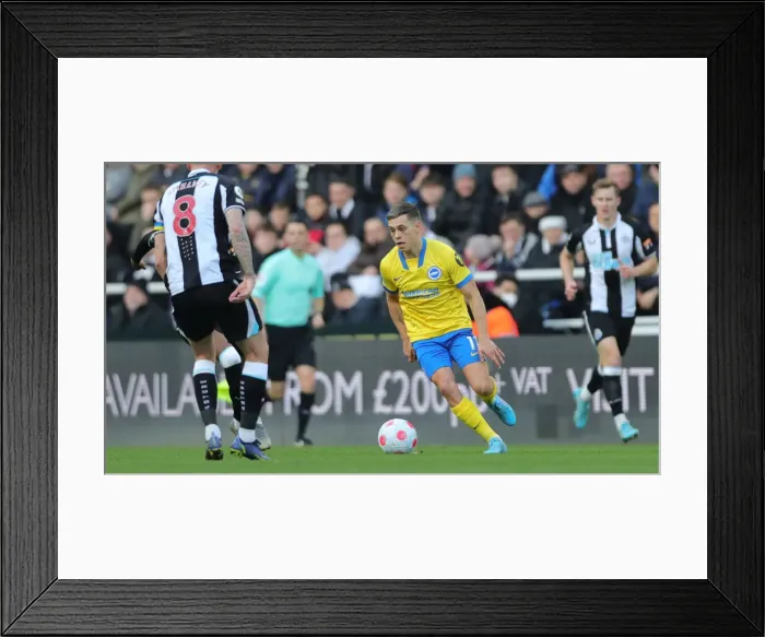 Framed Print : Premier League Clash: Brighton and Hove Albion vs. Newcastle United (05MAR22)