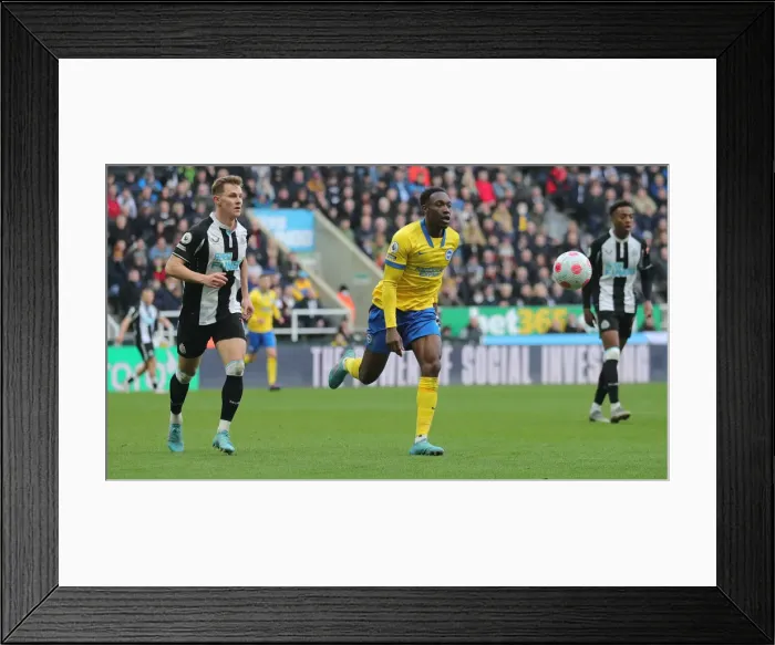Framed Print : Brighton's Triumph: Premier League Showdown - Newcastle United vs. Brighton and Hove Albion (5th March 2022) Framed Print : Brighton's Triumph: Premier League Showdown - Newcastle United vs. Brighton and Hove Albion (5th March 2022)