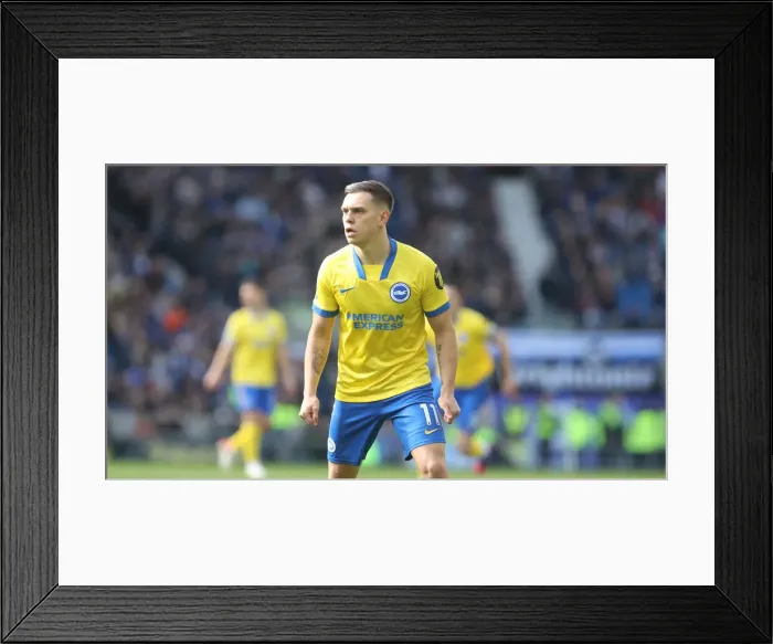 Framed Print : Brighton and Hove Albion v Liverpool Premier League 12MAR22 Framed Print : Brighton and Hove Albion v Liverpool Premier League 12MAR22