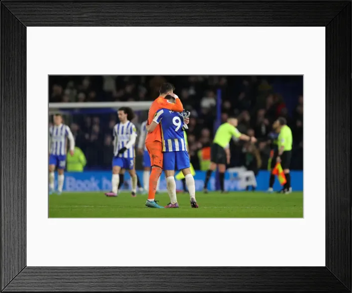 Framed Print : Brighton and Hove Albion vs. Tottenham Hotspur: A Premier League Clash at American Express Community Stadium (16MAR22)