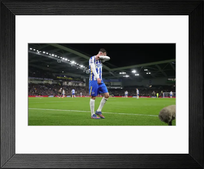 Framed Print : Brighton and Hove Albion vs. Tottenham Hotspur: Premier League Clash at American Express Community Stadium (16MAR22) Framed Print : Brighton and Hove Albion vs. Tottenham Hotspur: Premier League Clash at American Express Community Stadium (16MAR22)