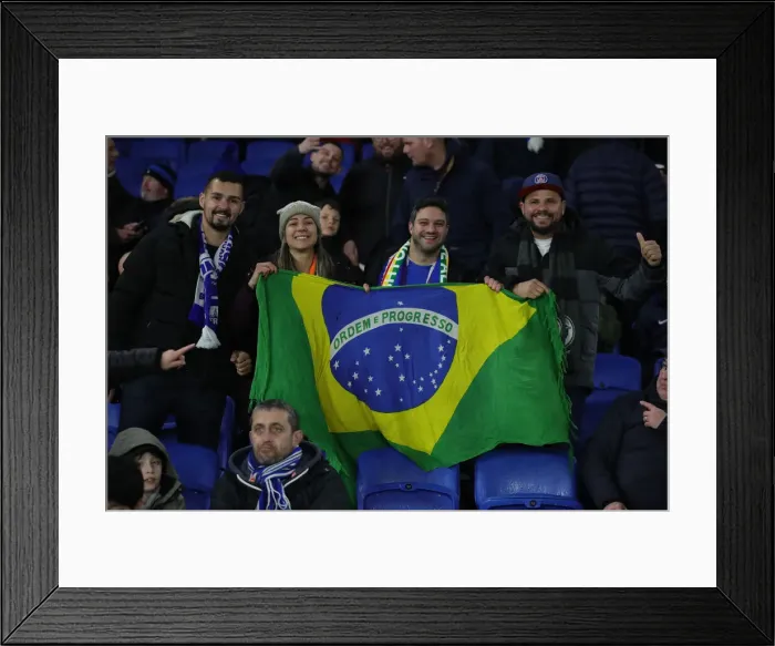 Framed Print : Premier League Showdown: Brighton & Hove Albion vs. Tottenham Hotspur (16MAR22) Framed Print : Premier League Showdown: Brighton & Hove Albion vs. Tottenham Hotspur (16MAR22)