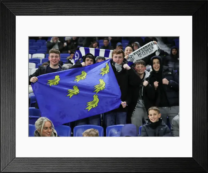 Framed Print : Brighton vs. Tottenham: March Showdown in the Premier League (16MAR22) Framed Print : Brighton vs. Tottenham: March Showdown in the Premier League (16MAR22)