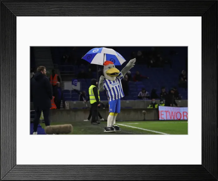 Framed Print : Intense Premier League Showdown: Brighton & Hove Albion vs. Tottenham Hotspur (16MAR22) Framed Print : Intense Premier League Showdown: Brighton & Hove Albion vs. Tottenham Hotspur (16MAR22)