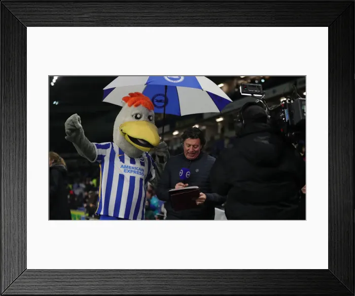 Framed Print : Premier League Showdown: Brighton & Hove Albion vs. Tottenham Hotspur (16MAR22) Framed Print : Premier League Showdown: Brighton & Hove Albion vs. Tottenham Hotspur (16MAR22)