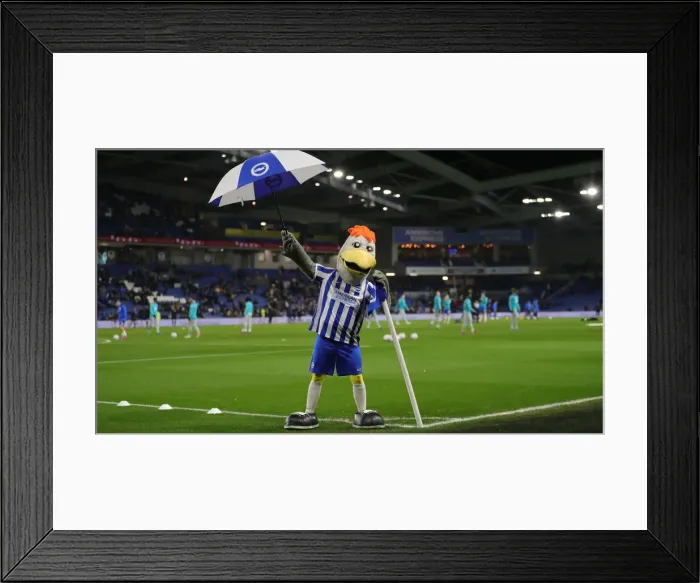 Framed Print : Premier League Showdown: Brighton & Hove Albion vs. Tottenham Hotspur (16MAR22) Framed Print : Premier League Showdown: Brighton & Hove Albion vs. Tottenham Hotspur (16MAR22)