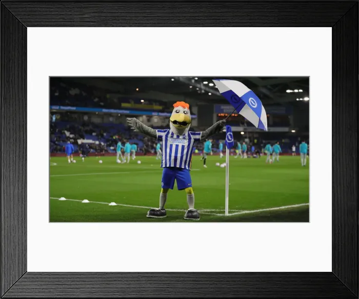 Framed Print : Brighton and Hove Albion vs. Tottenham Hotspur: Premier League Clash at American Express Community Stadium (16MAR22) Framed Print : Brighton and Hove Albion vs. Tottenham Hotspur: Premier League Clash at American Express Community Stadium (16MAR22)