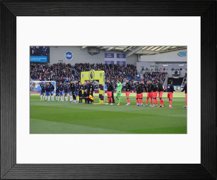 Framed Print : Intense Premier League Clash: Brighton & Hove Albion vs. Norwich City (02APR22) Framed Print : Intense Premier League Clash: Brighton & Hove Albion vs. Norwich City (02APR22)