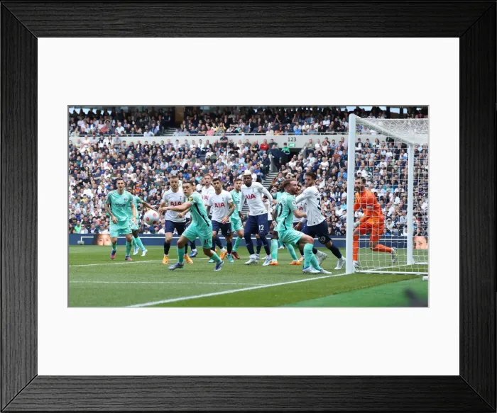 Framed Print : Intense Battle: Premier League Rivalry - Tottenham Hotspur vs. Brighton and Hove Albion (16APR22) Framed Print : Intense Battle: Premier League Rivalry - Tottenham Hotspur vs. Brighton and Hove Albion (16APR22)