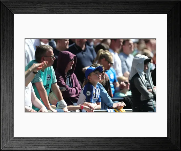 Framed Print : Intense Battle: Premier League Rivalry - Tottenham Hotspur vs. Brighton and Hove Albion (16APR22) Framed Print : Intense Battle: Premier League Rivalry - Tottenham Hotspur vs. Brighton and Hove Albion (16APR22)