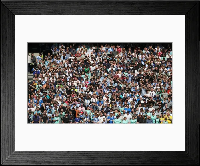 Framed Print : 16APR22: Intense Battle - Tottenham Hotspur vs. Brighton and Hove Albion, Premier League Framed Print : 16APR22: Intense Battle - Tottenham Hotspur vs. Brighton and Hove Albion, Premier League