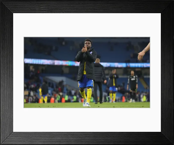 Framed Print : 2021-22 Premier League: Manchester City vs. Brighton and Hove Albion Showdown at Etihad Stadium (20APR22) Framed Print : 2021-22 Premier League: Manchester City vs. Brighton and Hove Albion Showdown at Etihad Stadium (20APR22)
