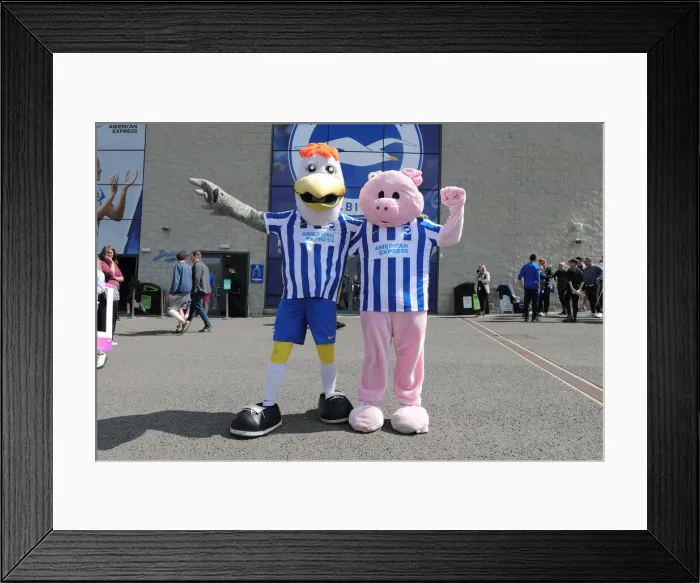 Framed Print : Intense Premier League Showdown: Brighton & Hove Albion vs. Southampton (24APR22) Framed Print : Intense Premier League Showdown: Brighton & Hove Albion vs. Southampton (24APR22)