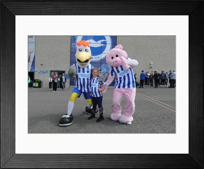 Framed Print : Intense Premier League Showdown: Brighton & Hove Albion vs. Southampton (24APR22)