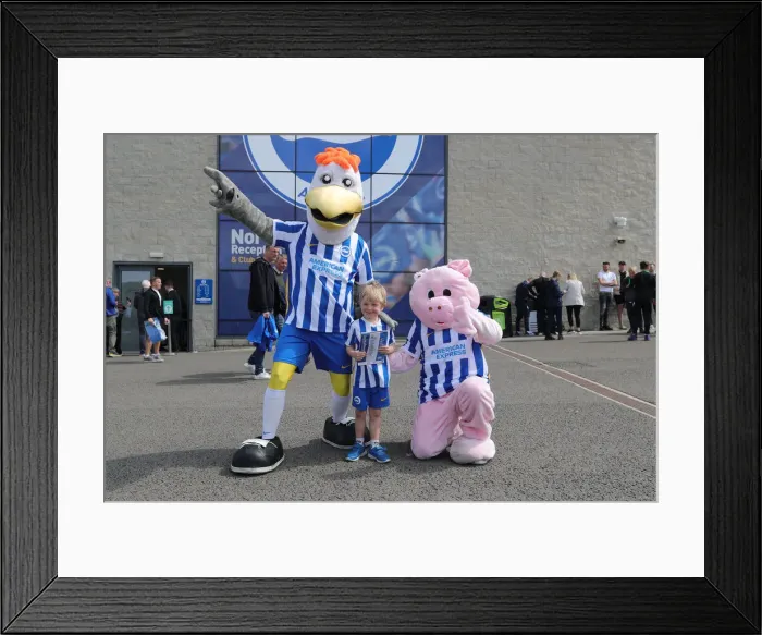Framed Print : Intense Premier League Showdown: Brighton & Hove Albion vs. Southampton (24APR22) Framed Print : Intense Premier League Showdown: Brighton & Hove Albion vs. Southampton (24APR22)