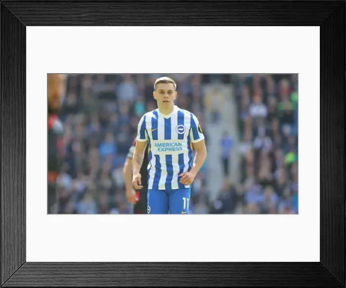 Framed Print : Intense Premier League Showdown: Brighton & Hove Albion vs. Southampton (24APR22)