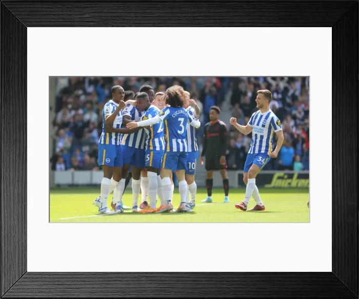 Framed Print : Intense Premier League Showdown: Brighton & Hove Albion vs. Southampton (24APR22) Framed Print : Intense Premier League Showdown: Brighton & Hove Albion vs. Southampton (24APR22)