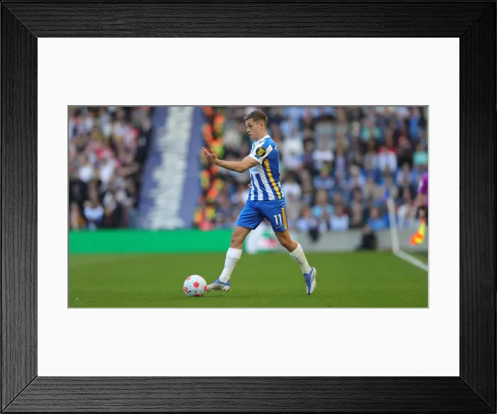 Framed Print : Intense Premier League Showdown: Brighton & Hove Albion vs. Southampton (24APR22) Framed Print : Intense Premier League Showdown: Brighton & Hove Albion vs. Southampton (24APR22)