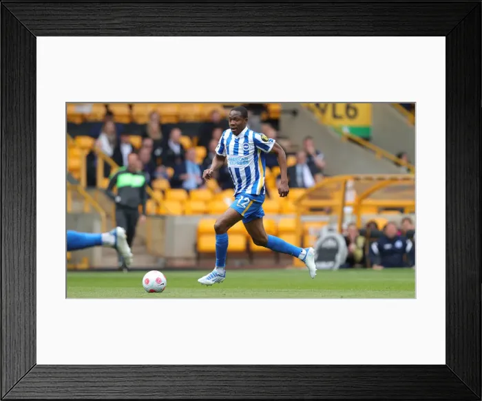 Framed Print : Premier League Showdown: Wolverhampton Wanderers vs. Brighton and Hove Albion (30APR22) Framed Print : Premier League Showdown: Wolverhampton Wanderers vs. Brighton and Hove Albion (30APR22)