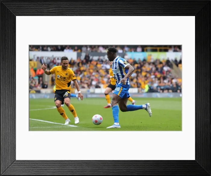 Framed Print : Premier League Showdown: Wolverhampton Wanderers vs Brighton and Hove Albion (30APR22) Framed Print : Premier League Showdown: Wolverhampton Wanderers vs Brighton and Hove Albion (30APR22)