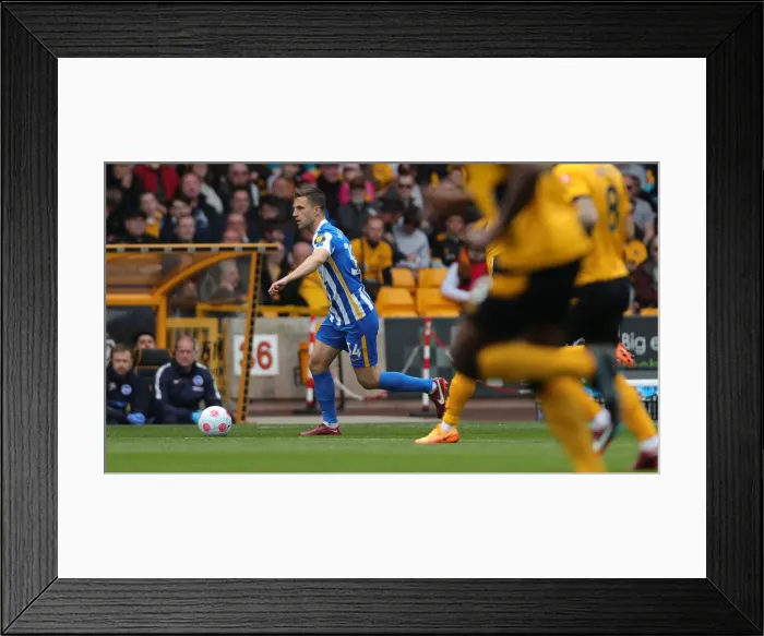 Framed Print : Premier League Clash: Wolverhampton Wanderers vs. Brighton and Hove Albion - Molineux Stadium, 30th April 2022 Framed Print : Premier League Clash: Wolverhampton Wanderers vs. Brighton and Hove Albion - Molineux Stadium, 30th April 2022
